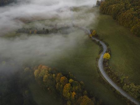 Autumn fog