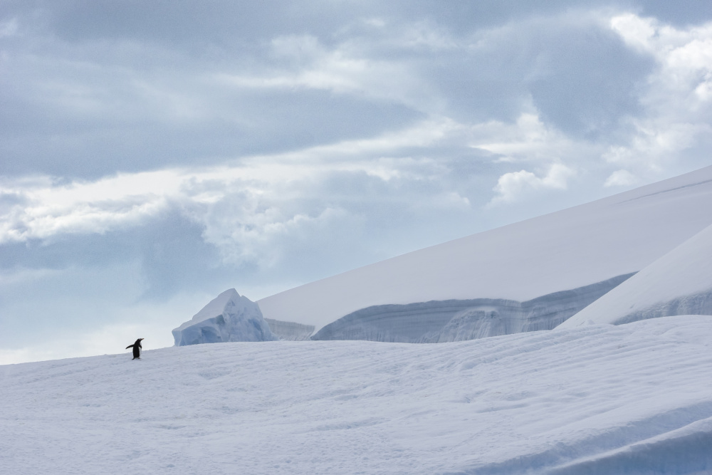 Solitude von Michel Groleau