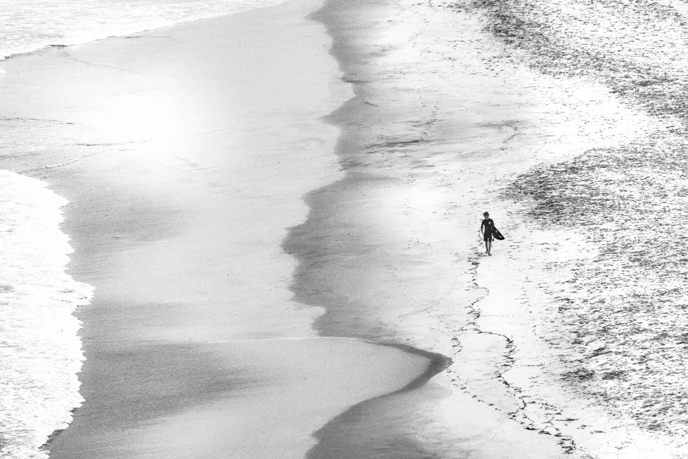 Back on dry land von Michel Groleau