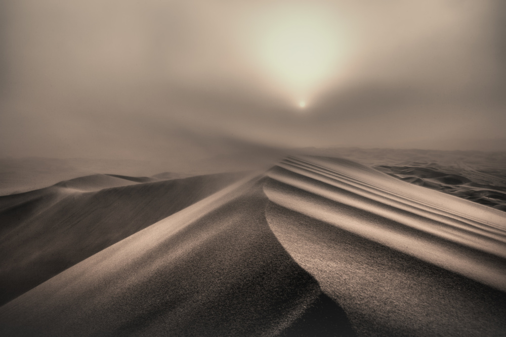 The perfect sandstorm von Michel Guyot