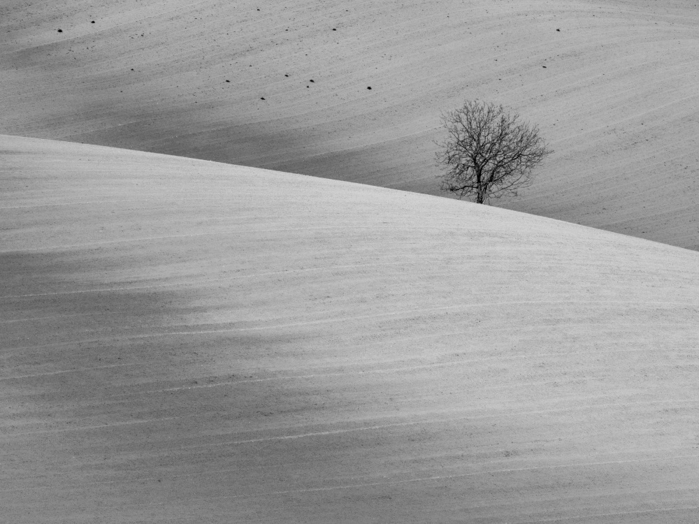 waiting for harvest von Michel Manzoni