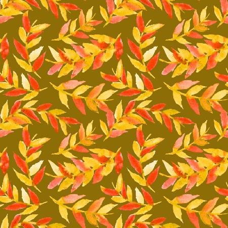 Leaves Curved Yellow Orange On Olive