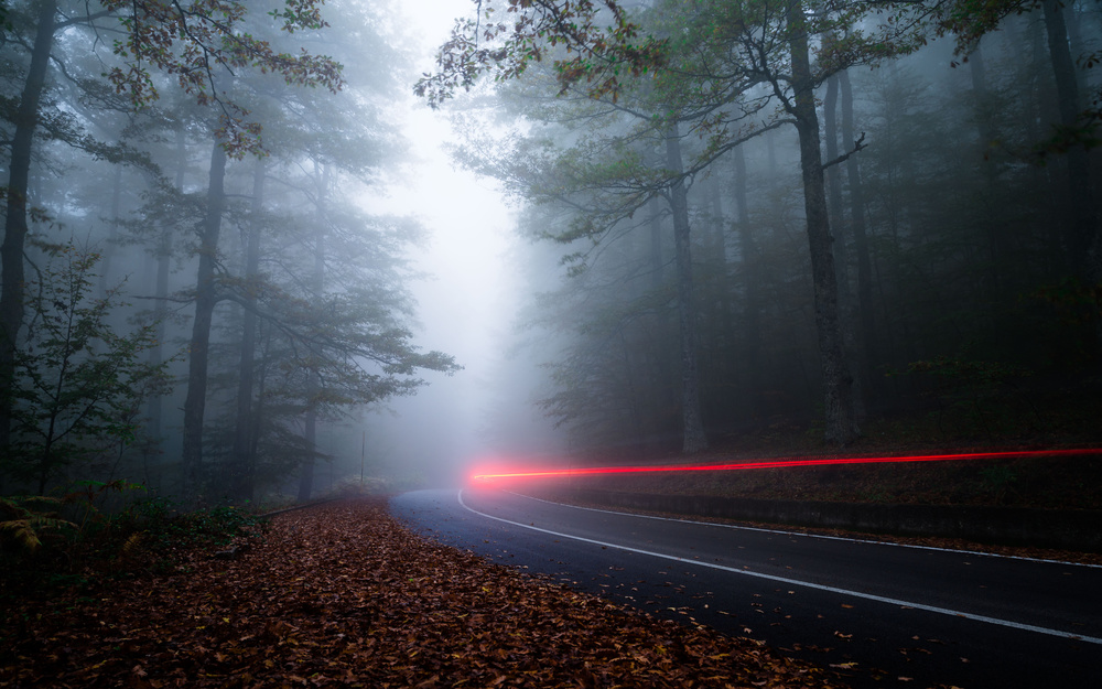 Wake in the fog von Michele Vignola