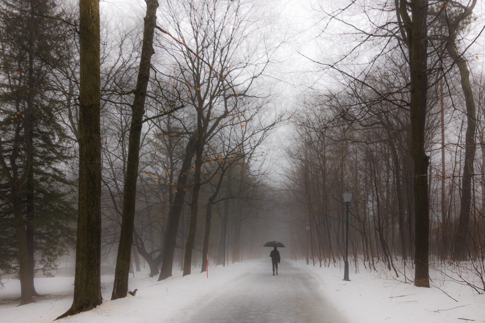 In the winter rain von Michiko Ôtomo