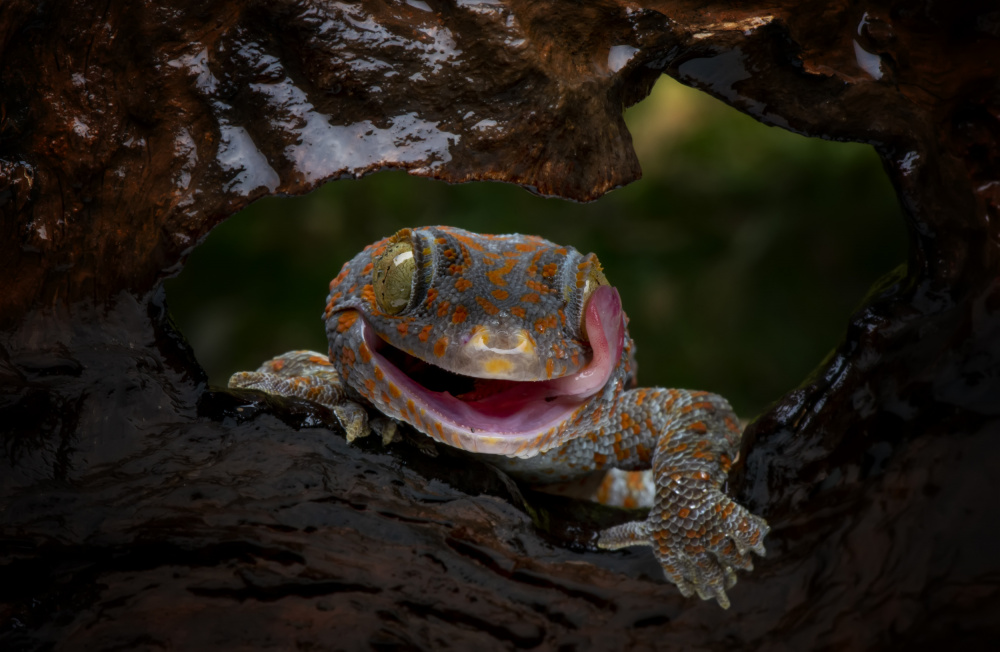 Smiley von Mieke Suharini