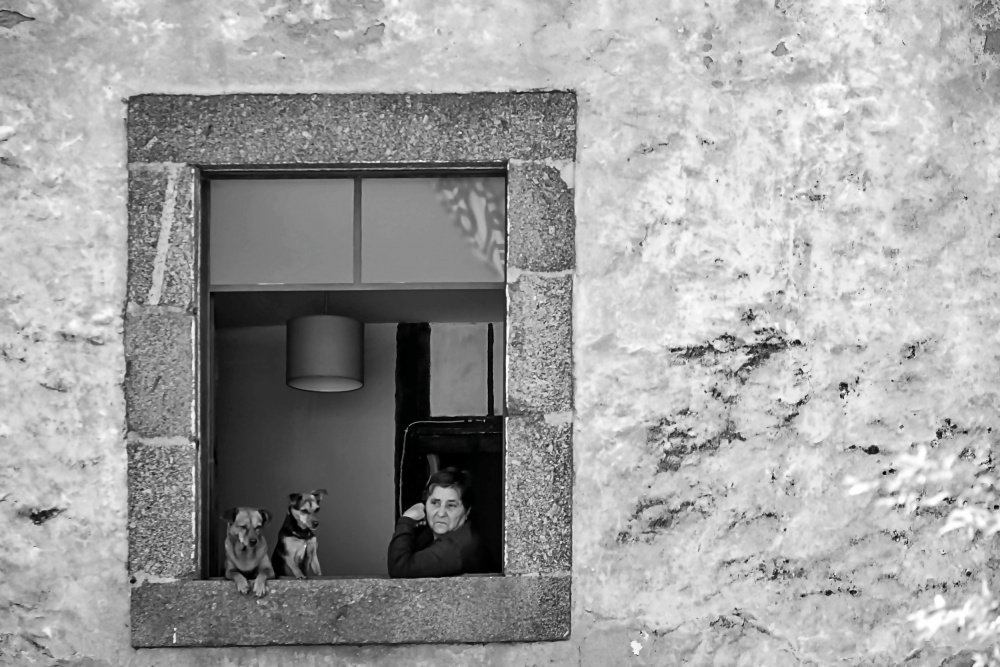 The window. von Miguel Silva