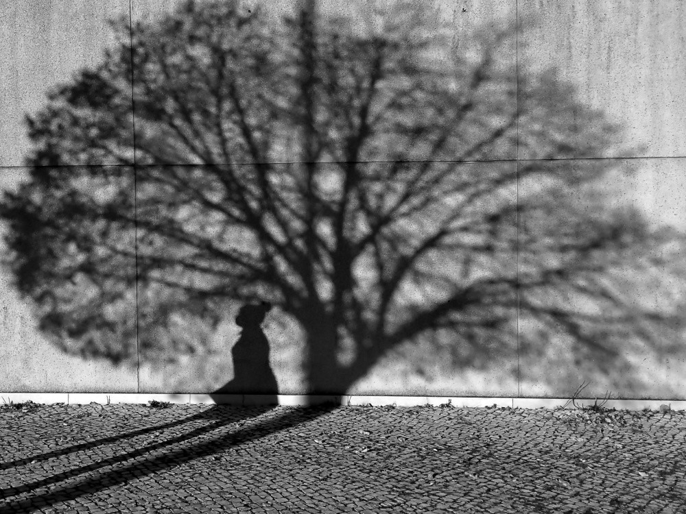 The shadow of a woman in the shadow of a treetop. von Miguel Silva