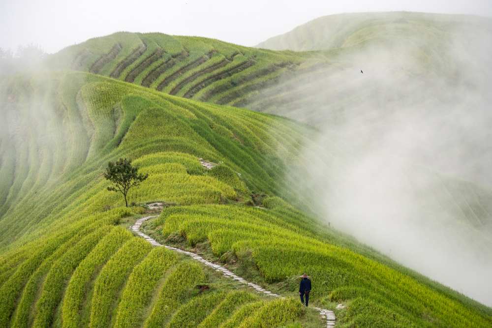 Ping'an rice terraces von Miha Pavlin