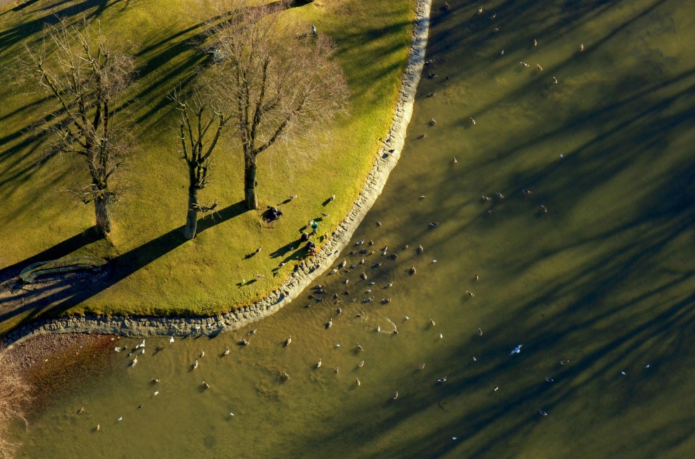 View from Above von Mihaela Jurca