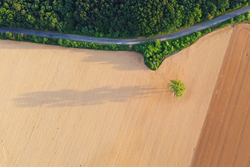 Land von Mihai Bogdan R