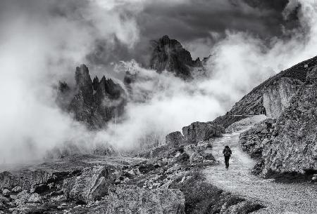 a walk among the clouds