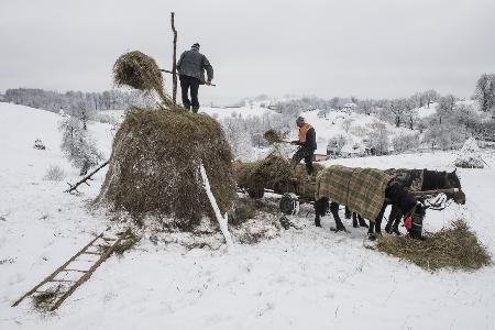 In the winter