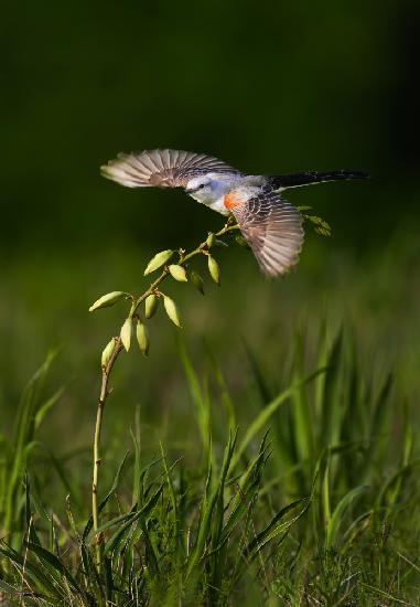 Taking off