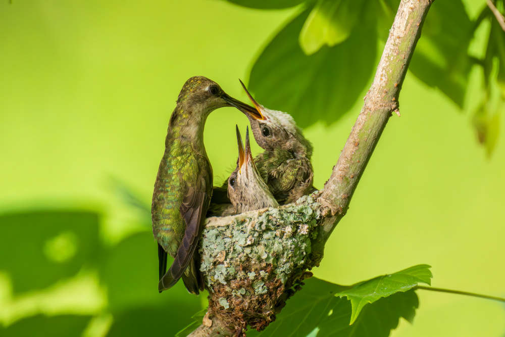 Dinner Time von Mike He