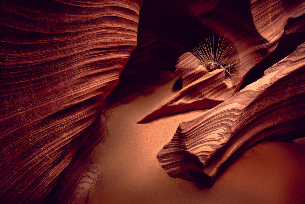 Rattlesnake Canyon von Mike Kreiten