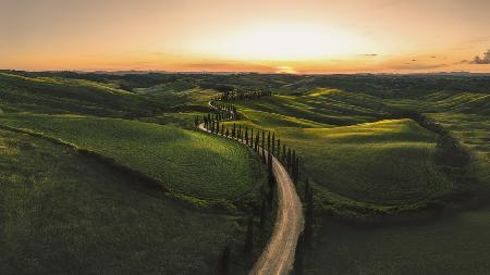 Tuscan Dream Alley