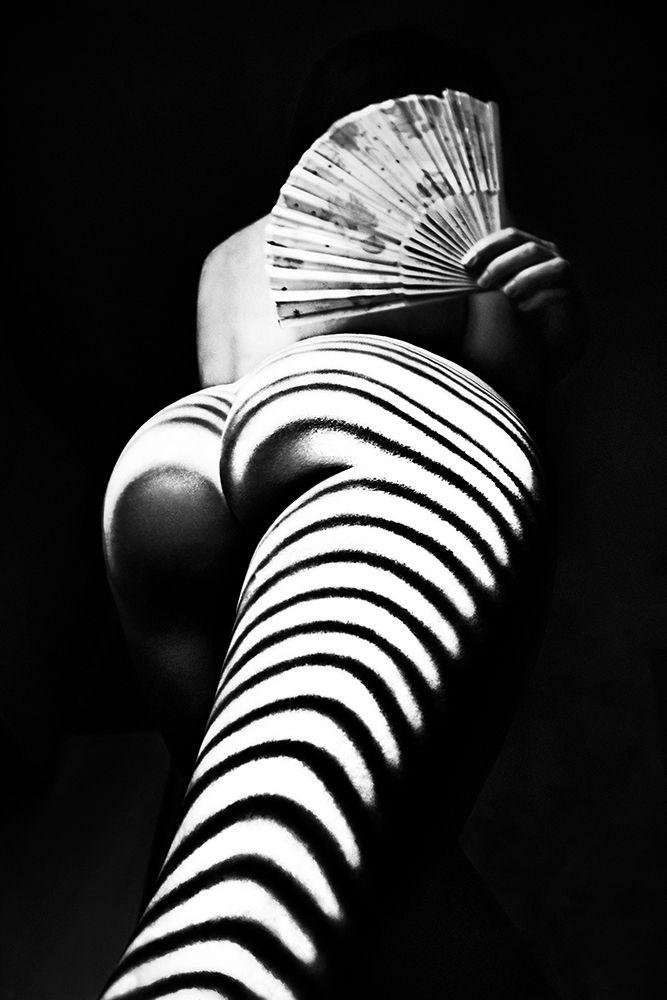 Zebra with a fan von Mikhail Faletkin