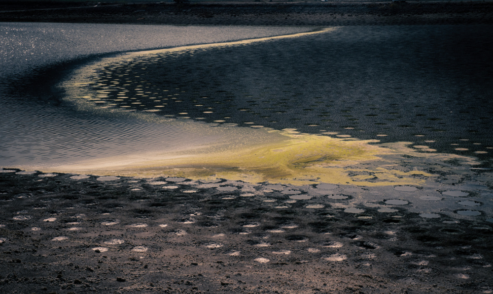 Cultivated land von Miki Meir Levi