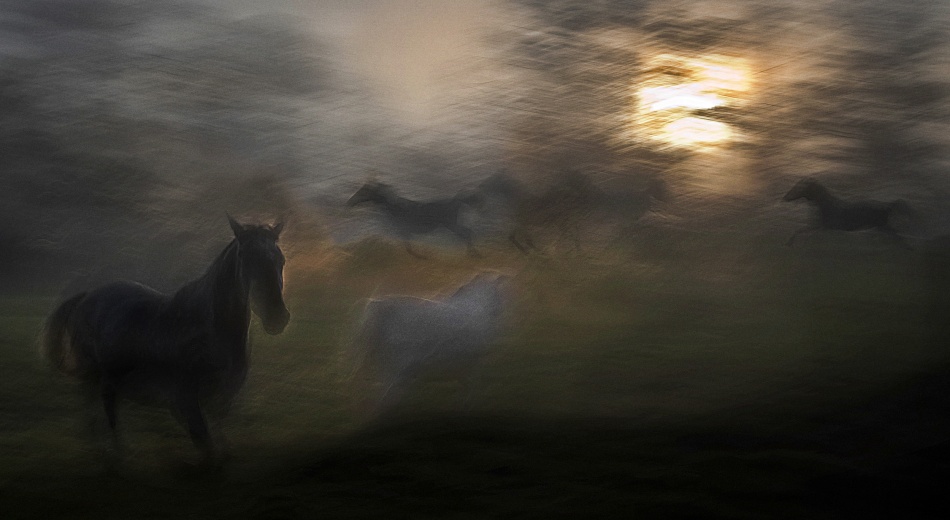 evening pastoral von Milan Malovrh