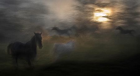 evening pastoral