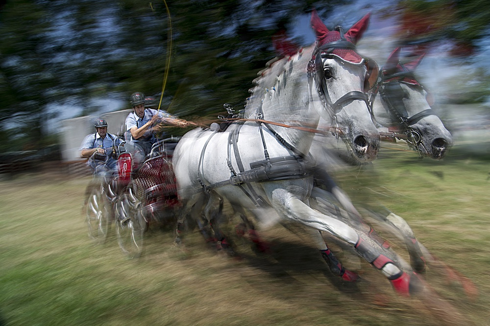 adrenalin canter von Milan Malovrh