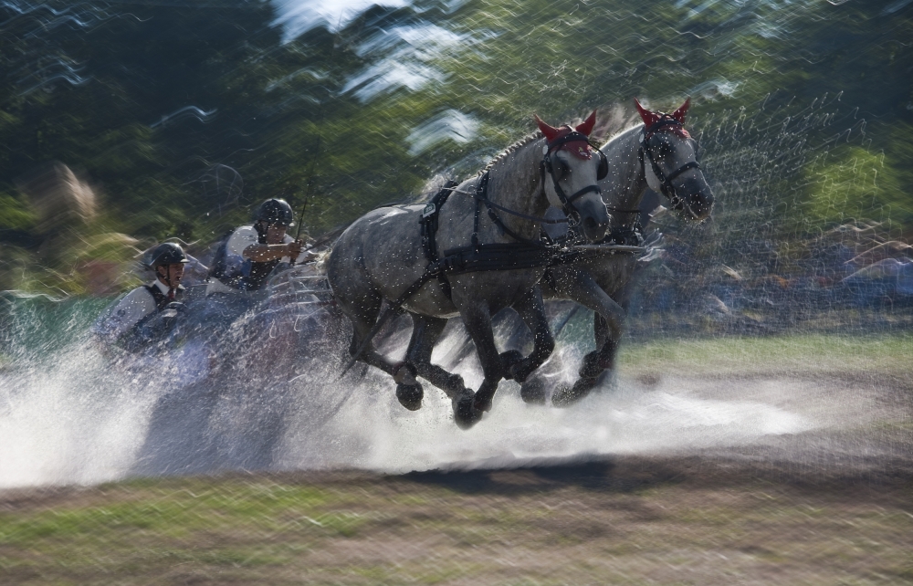 Action von Milan Malovrh