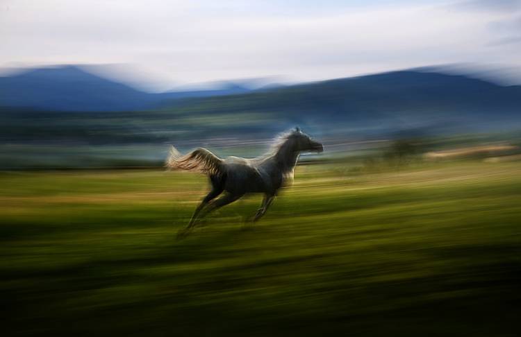 Alone von Milan Malovrh