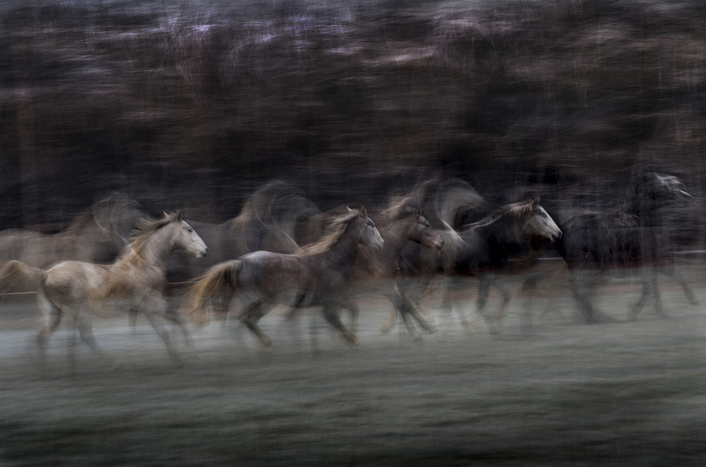 on the line von Milan Malovrh