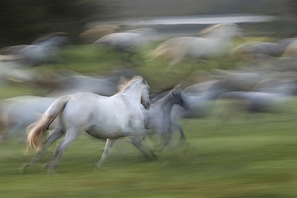 lost focus von Milan Malovrh