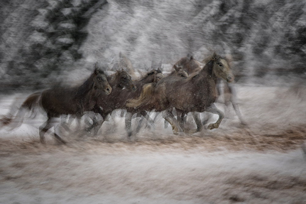 FROZEN DAY von Milan Malovrh