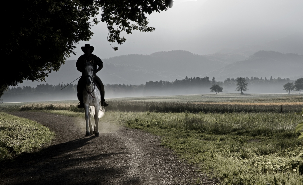 Mysterious horseman von Milan Malovrh