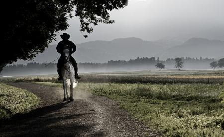 Mysterious horseman