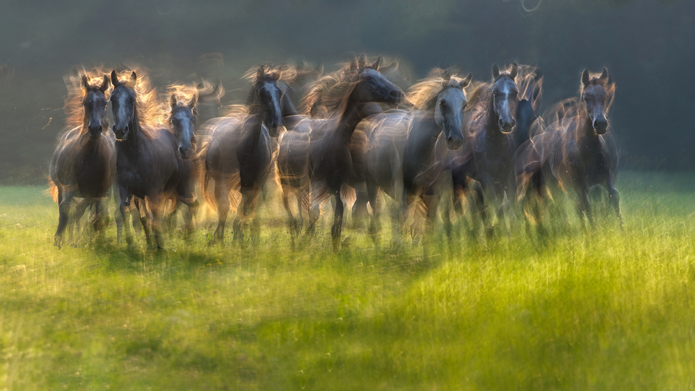 Group von Milan Malovrh