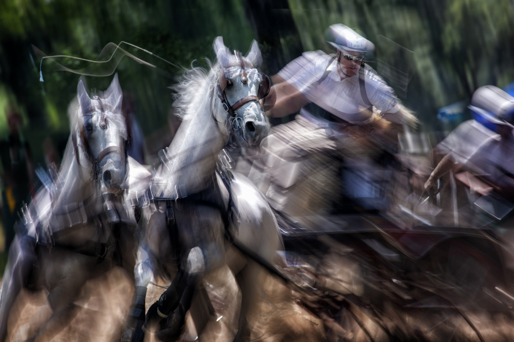 Hors marathon von Milan Malovrh