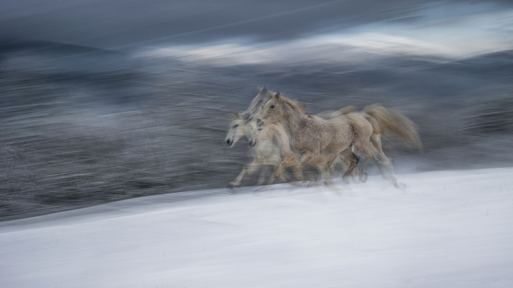 in winter von Milan Malovrh