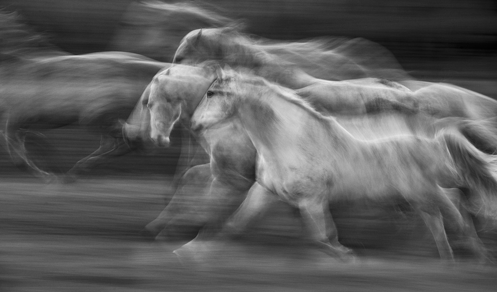 in motion von Milan Malovrh