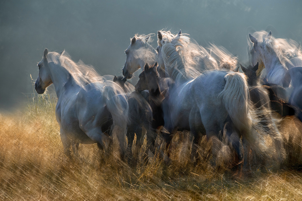 in anticipation von Milan Malovrh