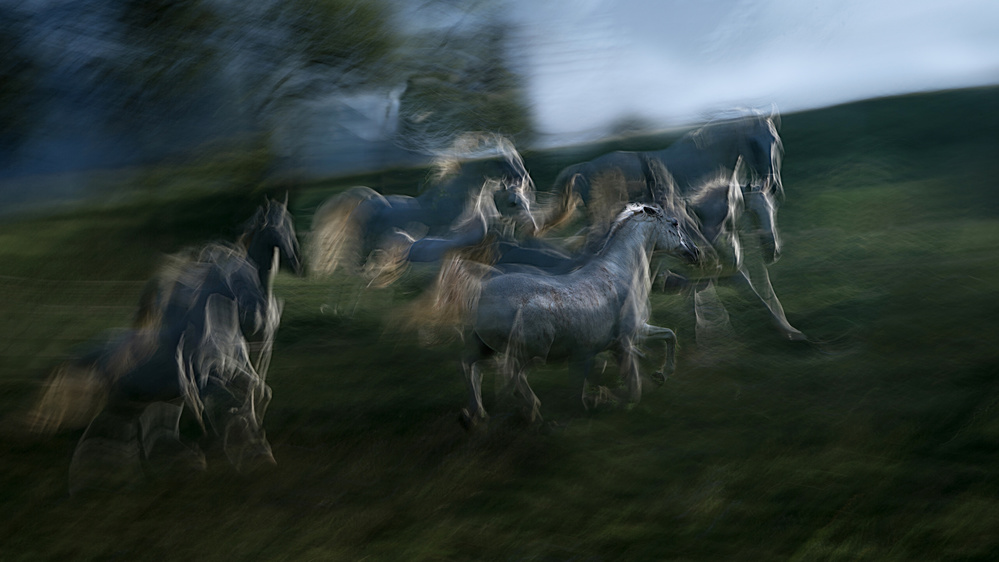 crowd von Milan Malovrh