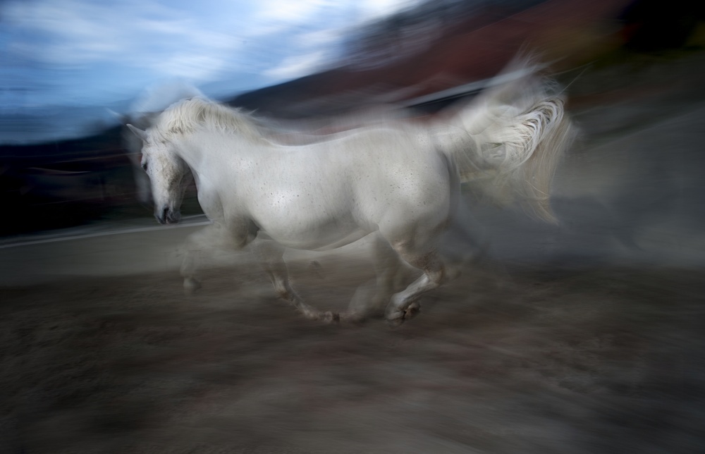 Around the arena von Milan Malovrh