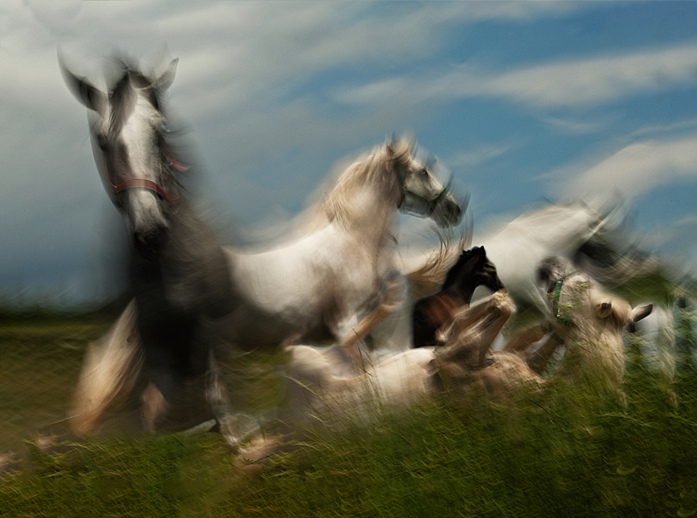 Play ground von Milan Malovrh