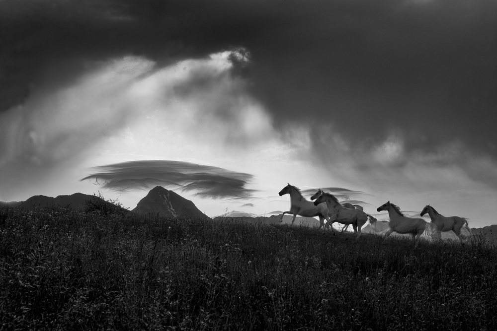 Before the storm von Milan Malovrh