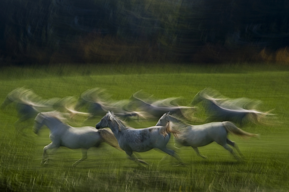 Wind flou von Milan Malovrh