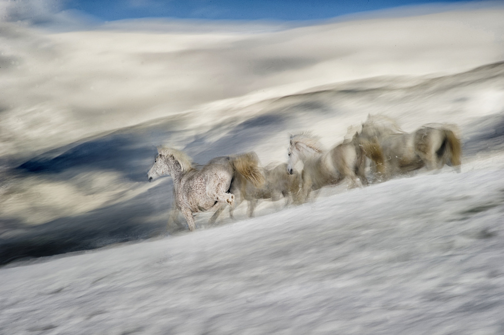 winter in high mountains von Milan Malovrh