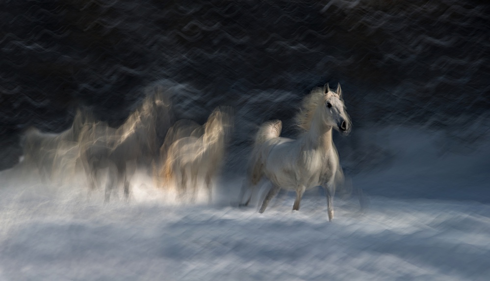 winter idyll von Milan Malovrh