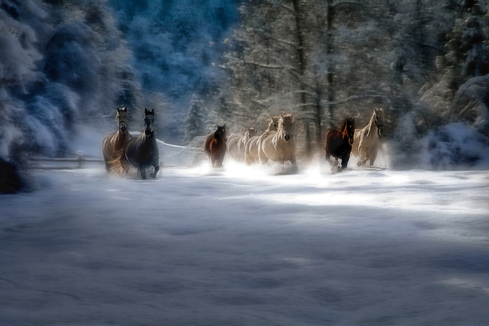 winter fairytale von Milan Malovrh