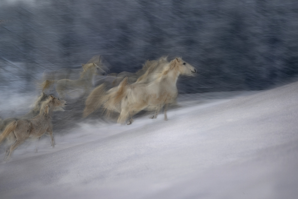 winter scene von Milan Malovrh