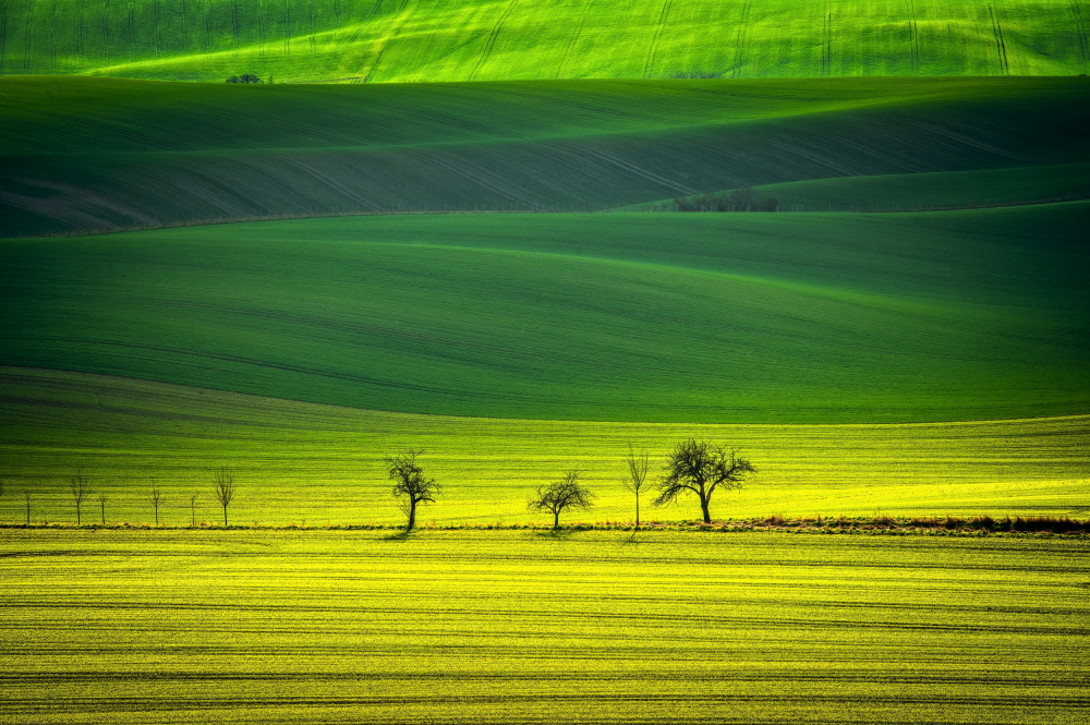 Green Tsunami von Milan Uhrin  AFIAP AZSF