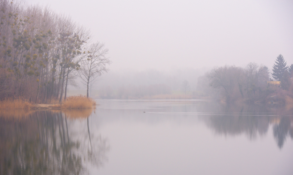 Misty morning von Milan Uhrin  AFIAP AZSF