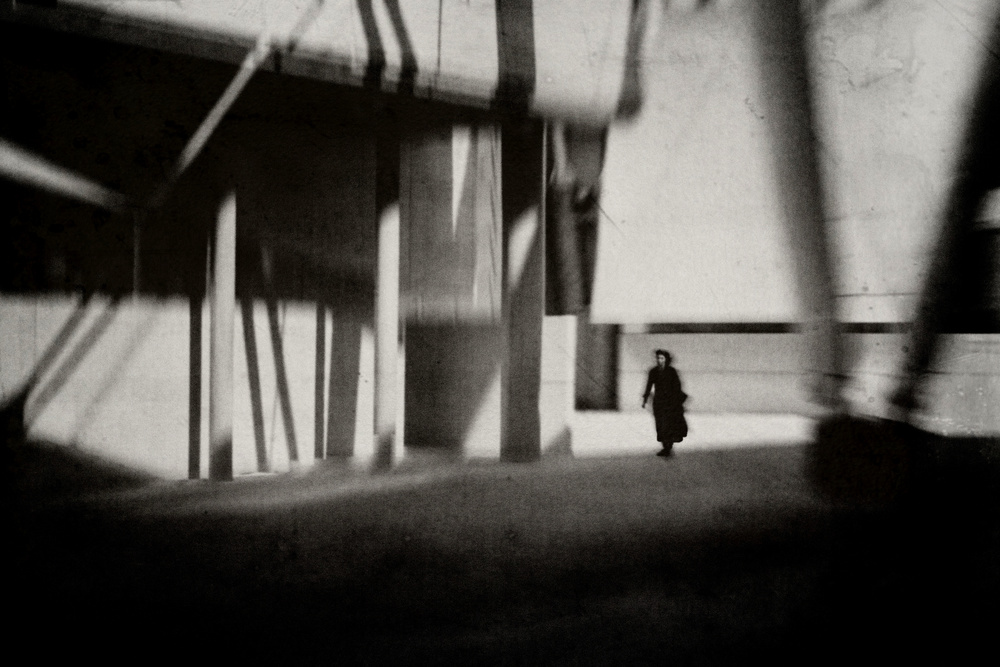 The Silent Crossing von Milena Seita