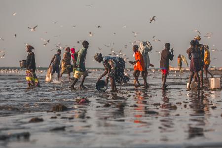 Fish Market